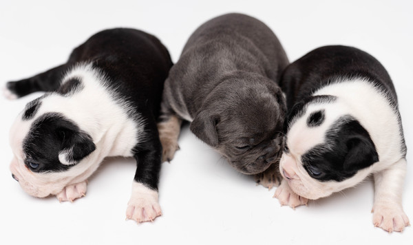 2dfefb16e6c92aa20b8a1258508e698c